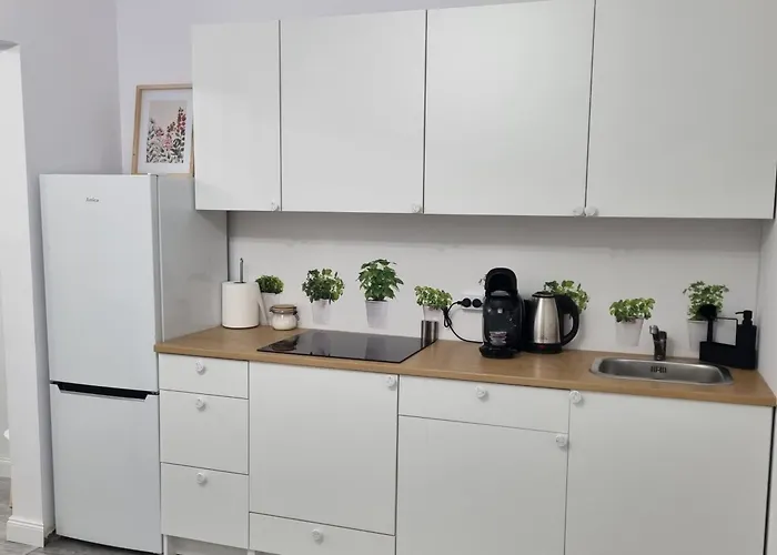 アパート Chopina Iv